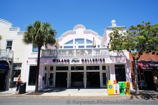 Wyland Galleries 623 Duval St Key West.jpg