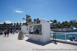 An information booth at Key West cruise dock area.jpg