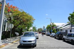 Street near Mallory Square Key West.jpg