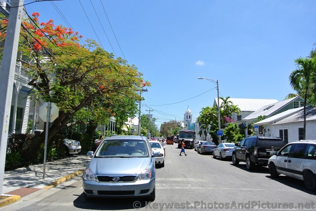 Street near Mallory Square Key West.jpg