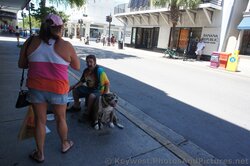 Dog Wearing Sunglasses & Street Flute Performer on Duval St Key West.jpg