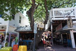Durty Harry's and Tree Bar Key West on 208 Duval St.jpg