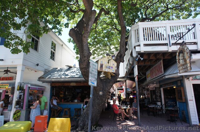Durty Harry's and Tree Bar Key West on 208 Duval St.jpg