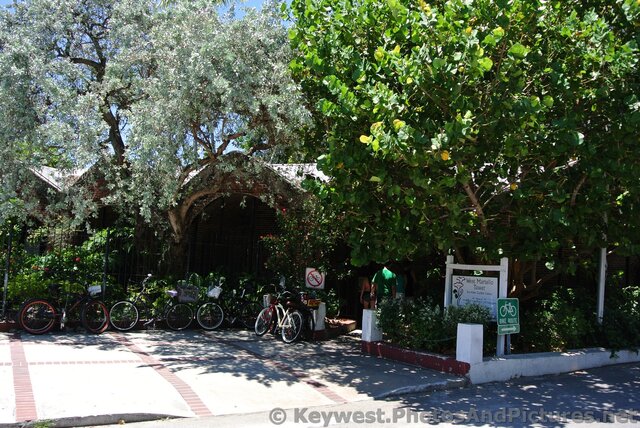 West Martello Tower Joe Allen Garden Center Key West.jpg