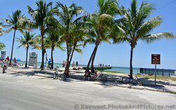 Higgs Beach Pier.jpg