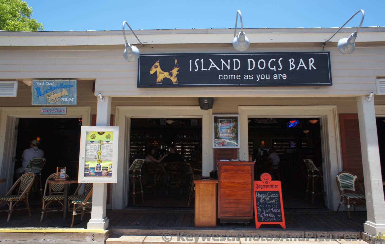 Island Dogs Bar Key West.jpg