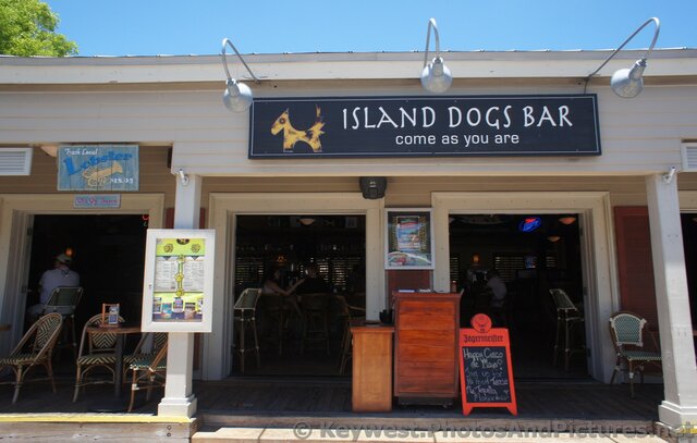Island Dogs Bar Key West.jpg