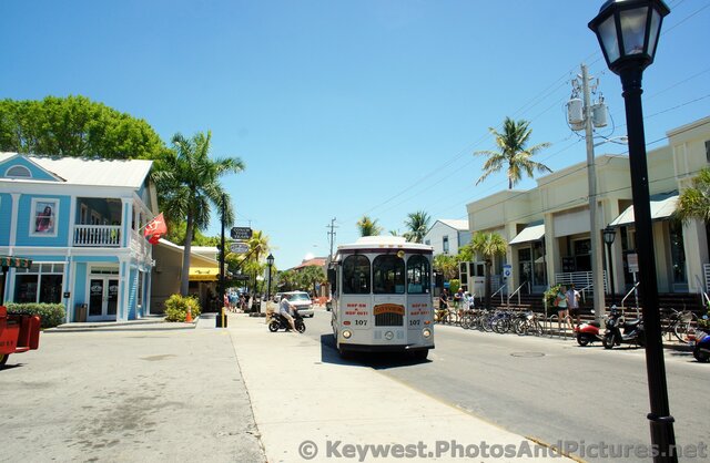 Key West Cityview Hop on Hop Off Bus.jpg