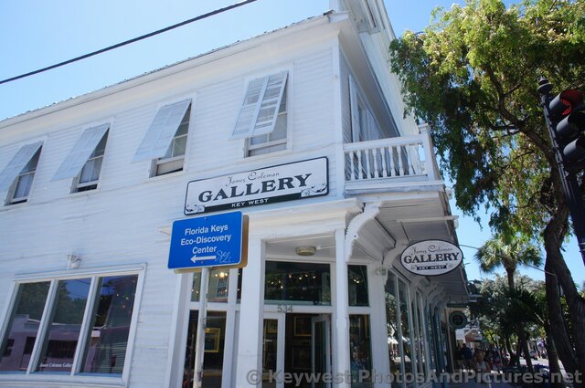 James Coleman Gallery Key West on Duval St.jpg