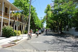 Bicyclists in Key West.jpg
