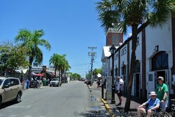 Looking North on Duval St in Key West.jpg